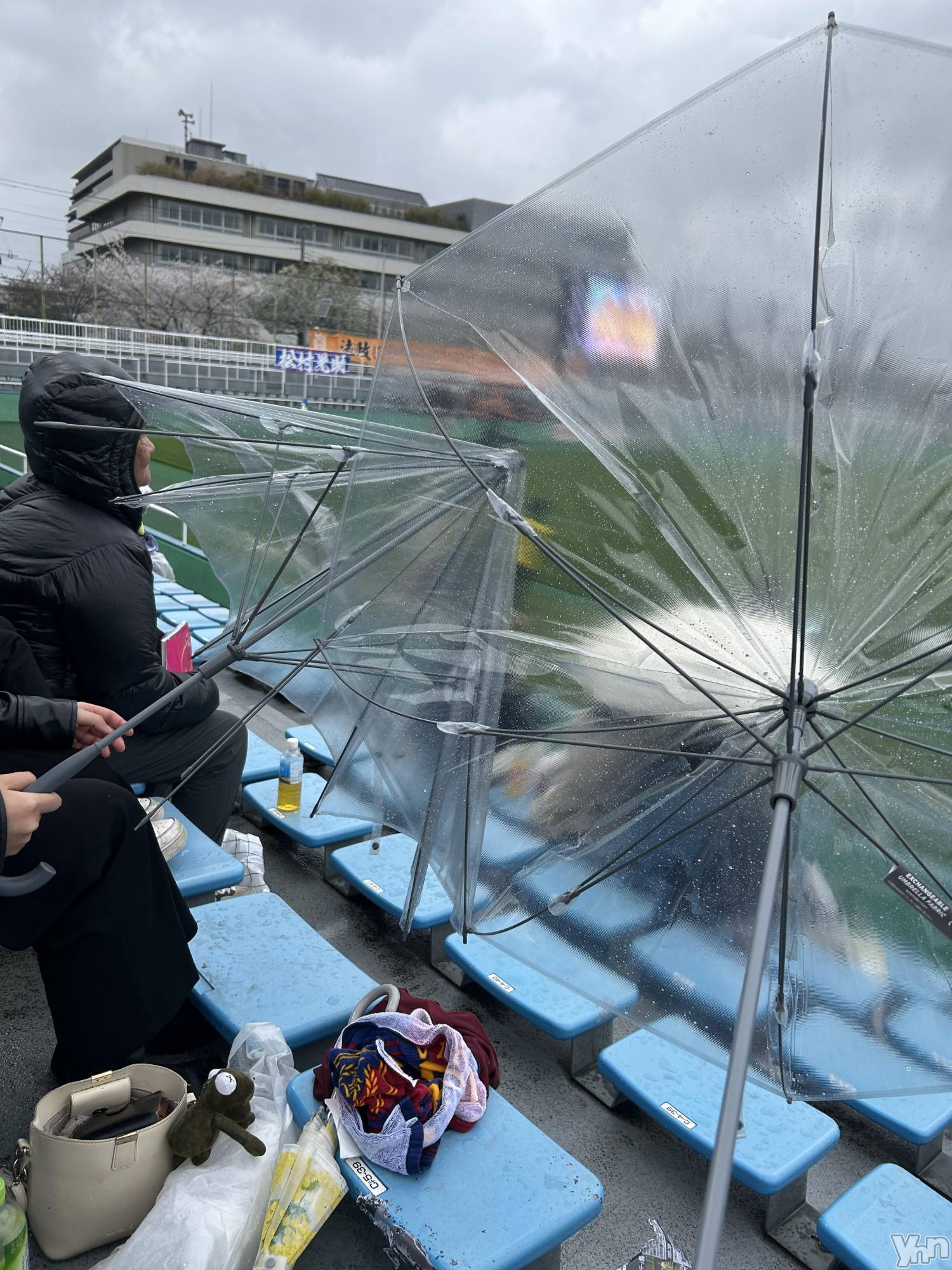 ���ܥ���Х��顦�����CLUB HEARTS(����֥ϡ���) ��2026ǯ4��8���̥�֥����ֻ�������😭😭😭��