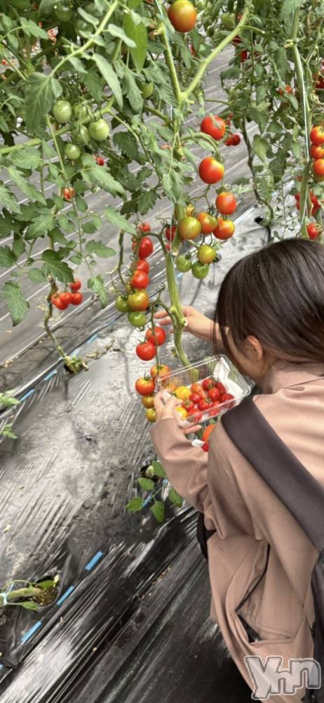 �ٻε��ĥ���Х��顦�����Club ALICE(����֥��ꥹ) �ˤ���8��16���̥�֥�����🍅��