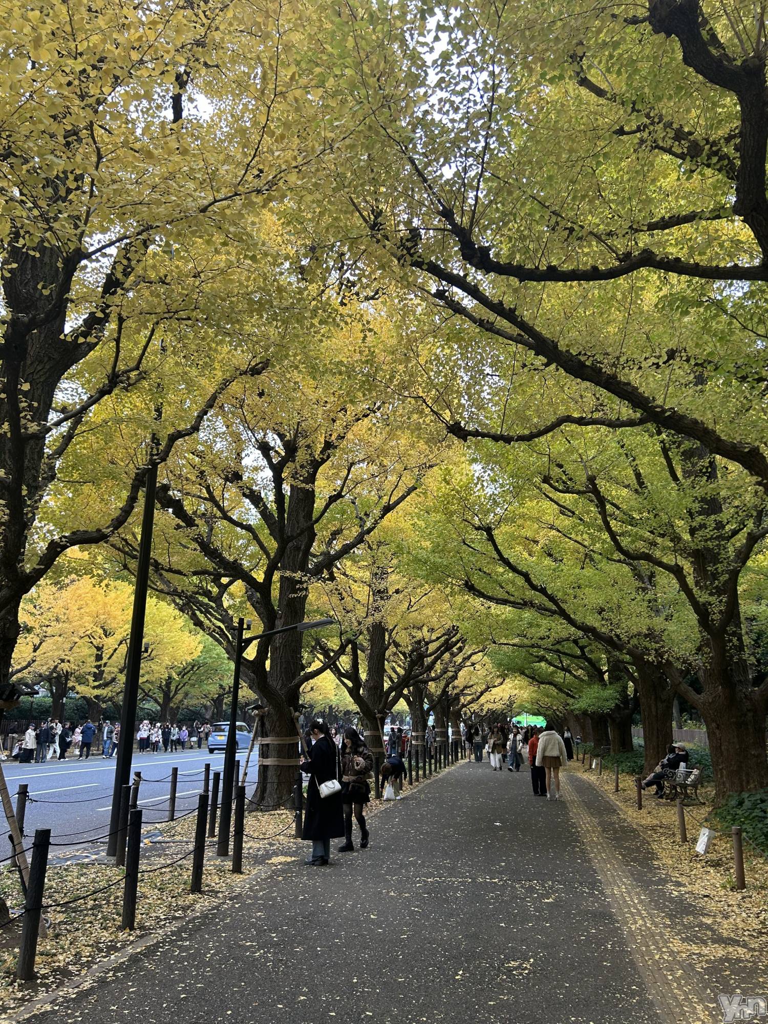 �ٻε��ĥ���Х��顦�����Club ALICE(����֥��ꥹ) ��2025ǯ12��6���̥�֥�����💛��