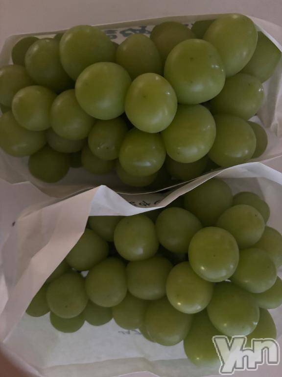 甲府デリヘル甲府人妻隊(コウフヒトヅマタイ)かおり(38)の2025年9月8日写メブログ「昨日ありがとう♡♡」