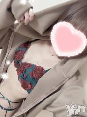 甲府デリヘル甲府人妻城(コウフヒトヅマジョウ) ことは(30)の4月1日写メブログ「🍋やっぱり(_ _).｡o○」