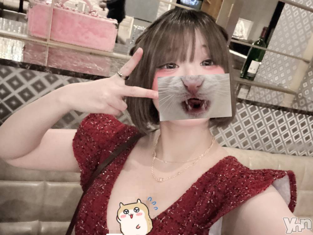 ���ܥ���Х��顦�����CLUB WONDER(����� ������) ���礦����2��21���̥�֥����֡ڥ��ٹ�ۥ֥��������Ϥऺ��꒰ᐢ ` •̥ - •̥  ᐢ꒱☁️��