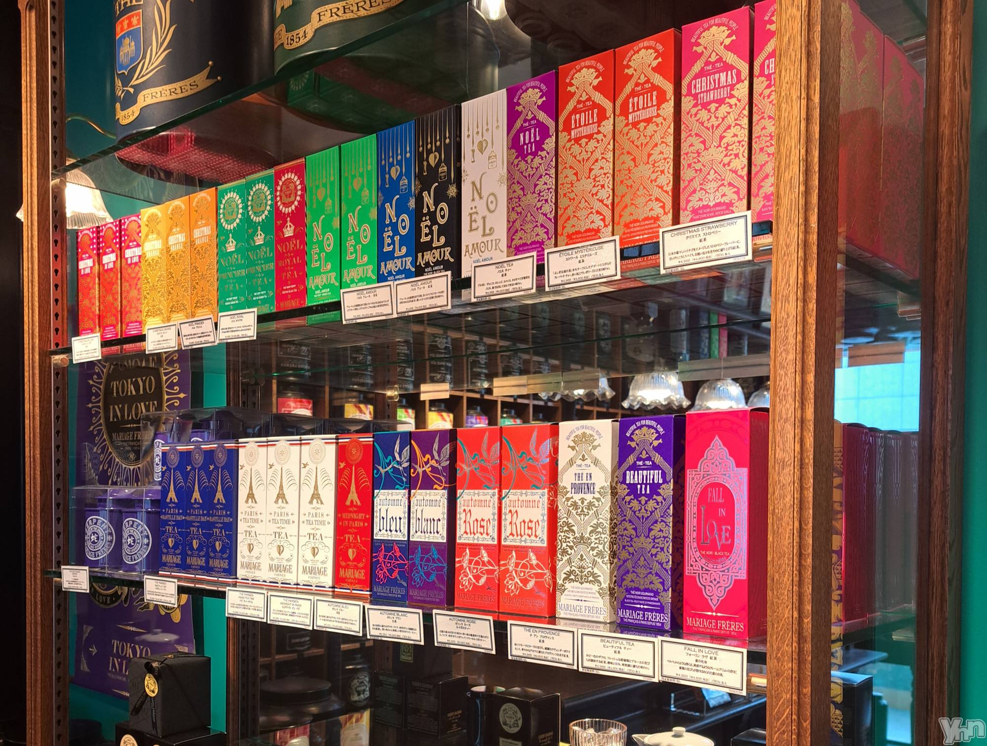 ���ܥ���Х��顦�����CLUB WONDER(����� ������) ��2025ǯ9��6���̥�֥����֡ڵ����۶�¤ǤΤ����⵭Ͽ✍️����