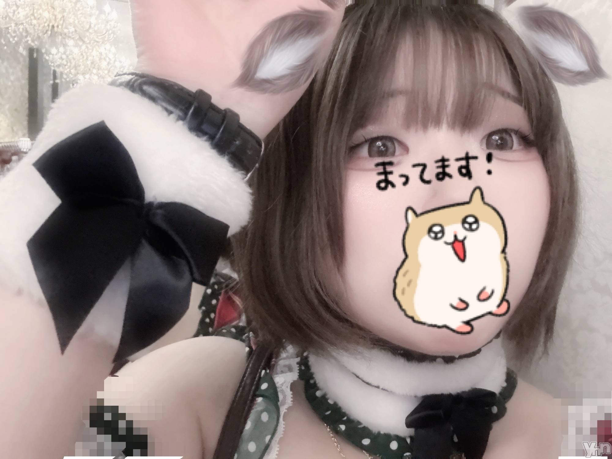 ���ܥ���Х��顦�����CLUB WONDER(����� ������) ��2025ǯ12��13���̥�֥����֤Ĥ���˷������� ��«�ι���