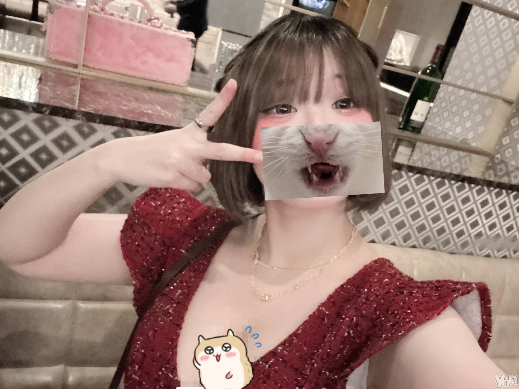 ���ܥ���Х��顦�����CLUB WONDER(����� ������) ��2026ǯ2��21���̥�֥����֡ڥ��ٹ�ۥ֥��������Ϥऺ��꒰ᐢ ` •̥ - •̥  ᐢ꒱☁️��