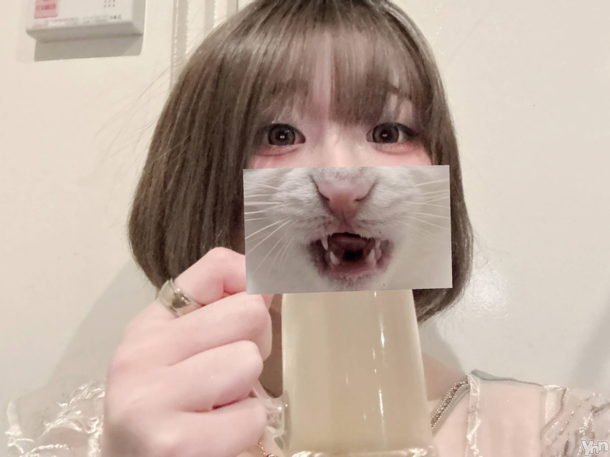 ���ܥ���Х��顦�����CLUB WONDER(����� ������) ��2026ǯ3��13���̥�֥����֡��Ѥ���ܡ�����䤹��❕🧸��