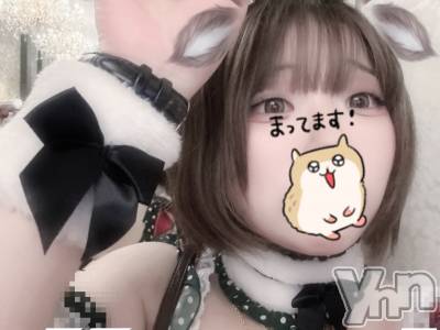 ���ܥ���Х��顦�����CLUB WONDER(����� ������) ���礦��(99)��12��13���̥�֥����֤Ĥ���˷������� ��«�ι���