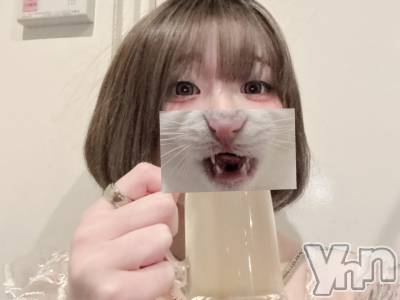 ���ܥ���Х��顦�����CLUB WONDER(����� ������) ���礦��(99)��3��13���̥�֥����֡��Ѥ���ܡ�����䤹��❕🧸��