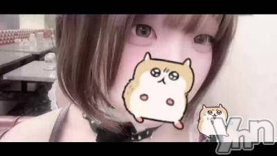 ��Ź�����ۥ��ꥹ�ޥ�ͽ���ߤ����ˤ�🧸🎀