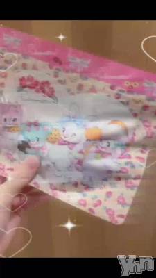 🍪🎀•  - •🎀🍪