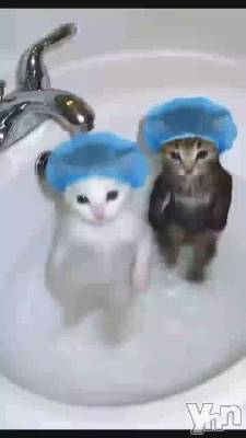 �ڲ�����ۤ���Ϥ�äƤ�������ޤǤ����ݤ��