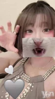 �ڲ�����ۥ���鲽���Ƥ⤤������🎀