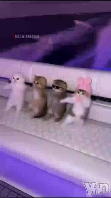 �ڲ�����۲��񤳤���˺�줿���ɤ�äƤߤ褦