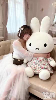 �ڲ������(���ߡ�)🐰