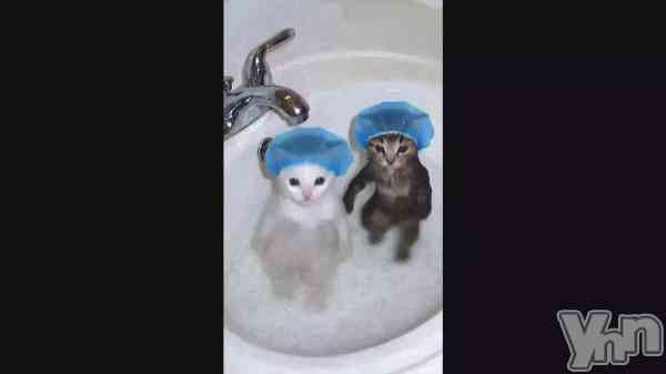 �֡ڲ�����ۤ���Ϥ�äƤ�������ޤǤ����ݤ���