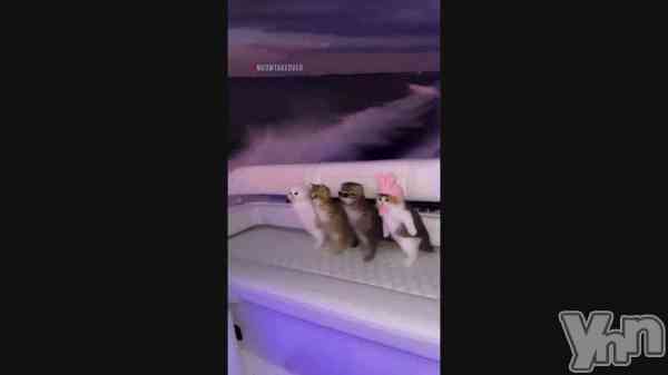 �֡ڲ�����۲��񤳤���˺�줿���ɤ�äƤߤ褦��