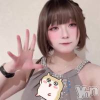 �ڲڶ�۴�������㤪❕