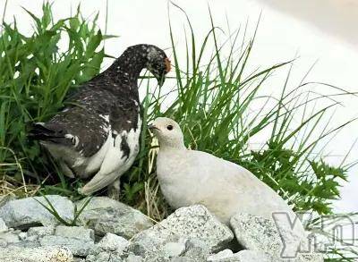 甲府デリヘル甲府人妻隊(コウフヒトヅマタイ)はのん(43)の2025年9月2日写メブログ「こんばんは～🌌🌙⭐」