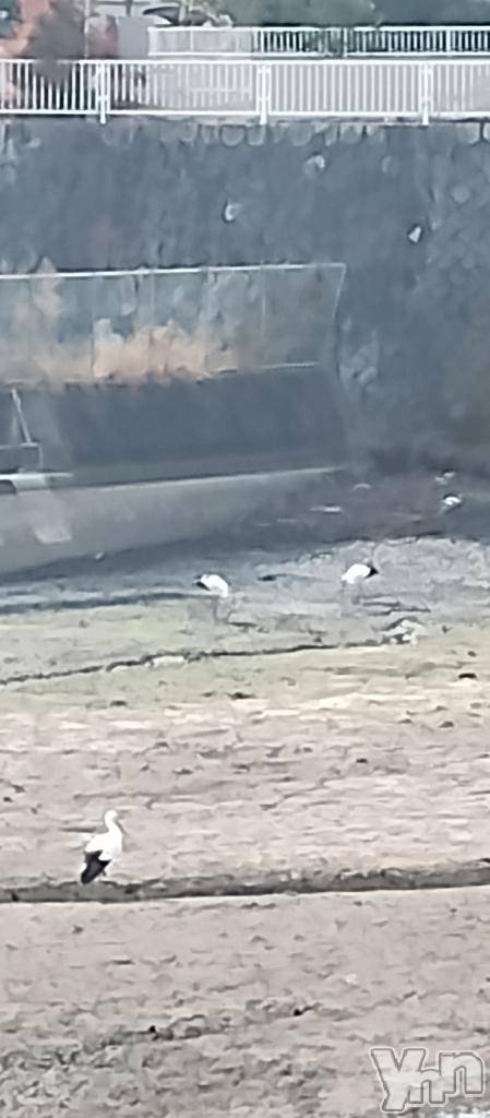 甲府デリヘル甲府人妻隊(コウフヒトヅマタイ)はのん(43)の2025年12月15日写メブログ「夜もまだまだご予約お待ちしてます❣️」