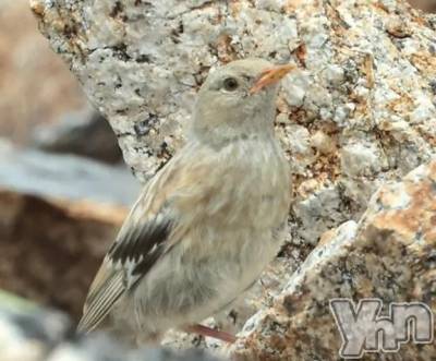 甲府デリヘル 甲府人妻隊(コウフヒトヅマタイ) はのん(43)の9月4日写メブログ「昨日のお礼💌」