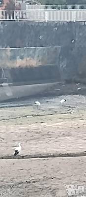 甲府デリヘル 甲府人妻隊(コウフヒトヅマタイ) はのん(43)の12月15日写メブログ「夜もまだまだご予約お待ちしてます❣️」