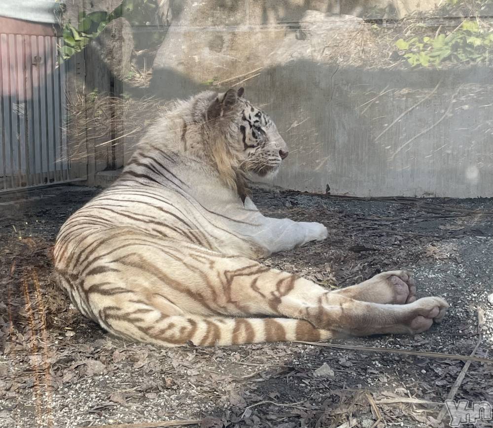 ���ܥ���Х��顦�����CLUB WONDER(����� ������) �����9��20���̥�֥����֤����