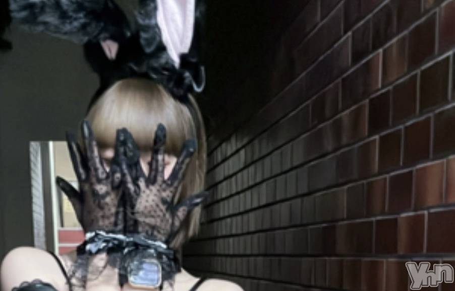 ���ܥ���Х��顦�����CLUB WONDER(����� ������) �����10��10���̥�֥����֤����