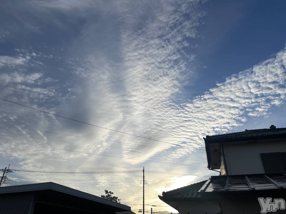 ���ܥ���Х��顦�����CLUB WONDER(����� ������) �����11��11���̥�֥����֤����