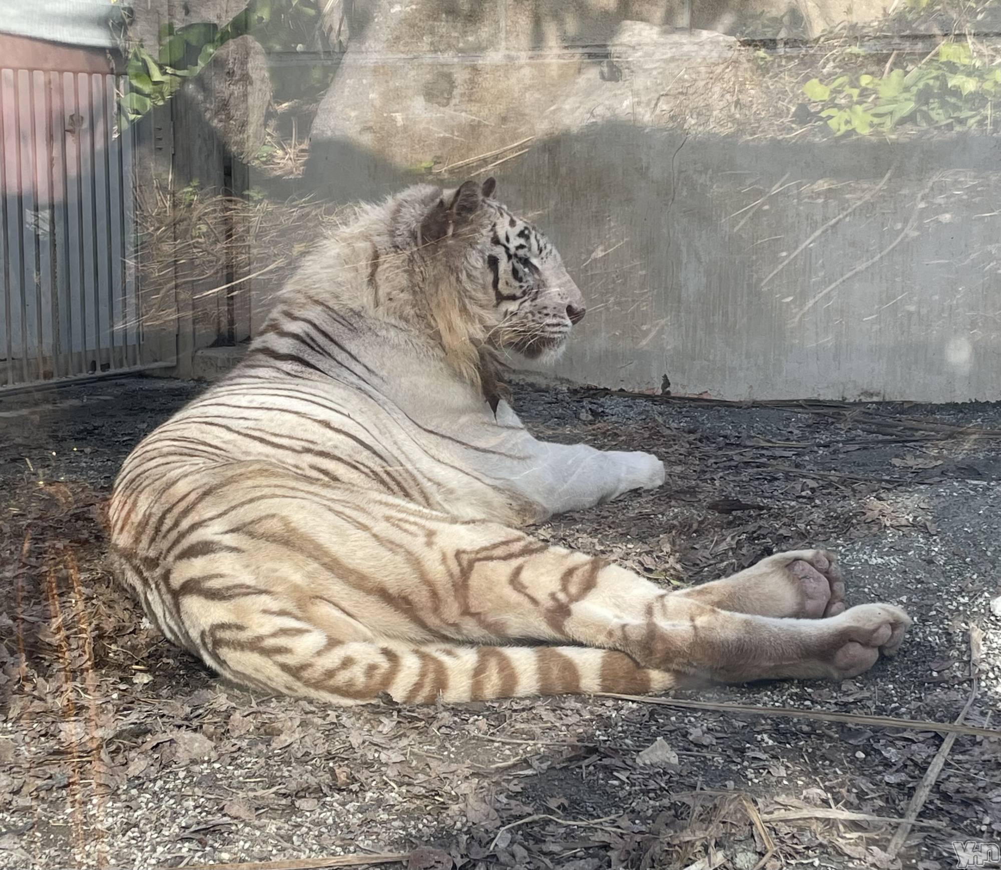 ���ܥ���Х��顦�����CLUB WONDER(����� ������) ��2025ǯ9��20���̥�֥����֤����