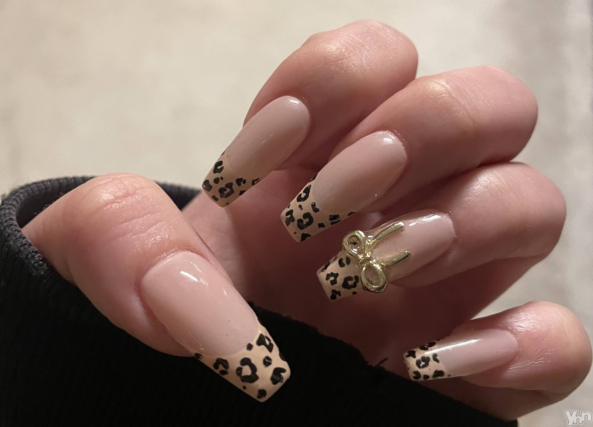 ���ܥ���Х��顦�����CLUB WONDER(����� ������) ��2025ǯ12��16���̥�֥����֤����