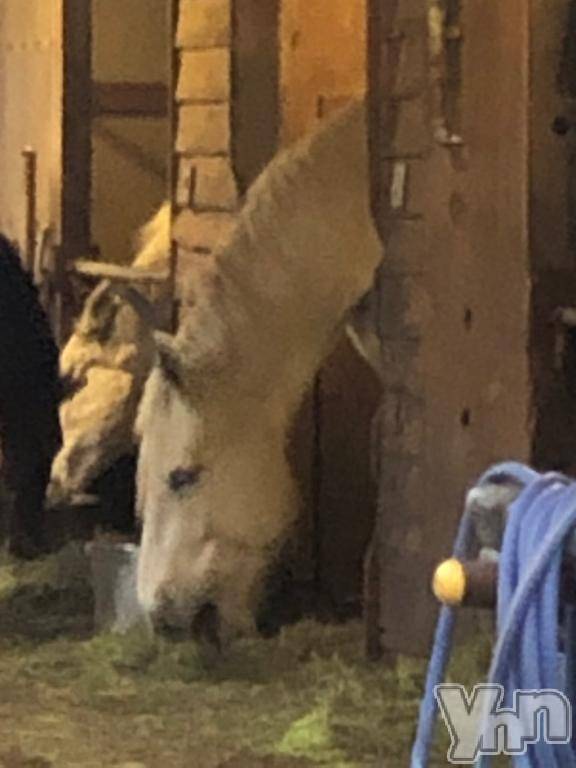 甲府デリヘル甲府人妻隊(コウフヒトヅマタイ) かなお(50)の1月9日写メブログ「好き？」