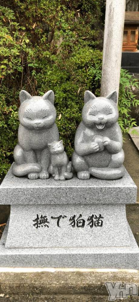 甲府デリヘル甲府人妻隊(コウフヒトヅマタイ) かなお(50)の2月16日写メブログ「本日出勤」