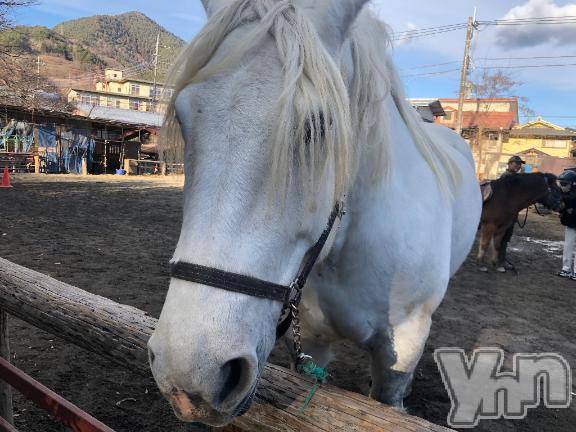 甲府デリヘル甲府人妻隊(コウフヒトヅマタイ)かなお(50)の2026年1月27日写メブログ「お疲れ様です」