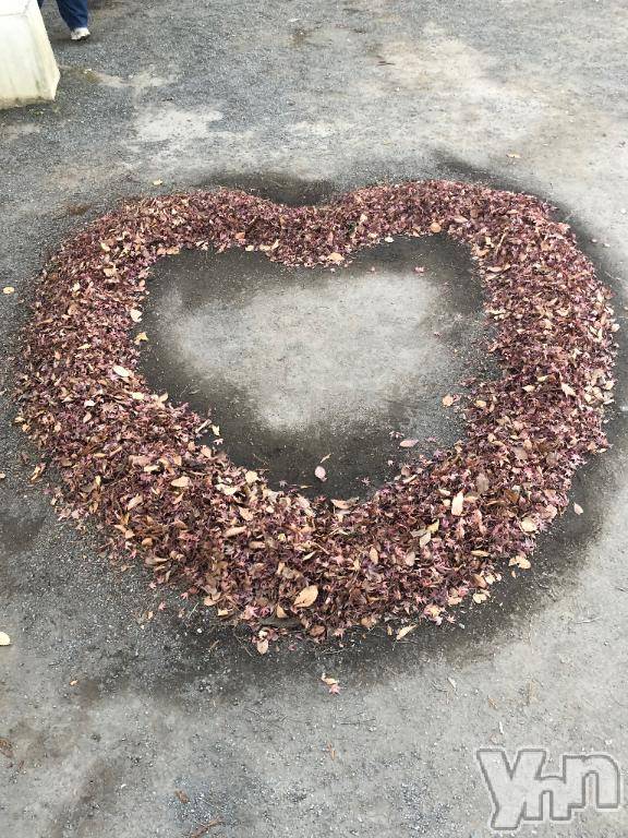 甲府デリヘル甲府人妻隊(コウフヒトヅマタイ)かなお(50)の2026年2月17日写メブログ「🌸ありがとう🌸」