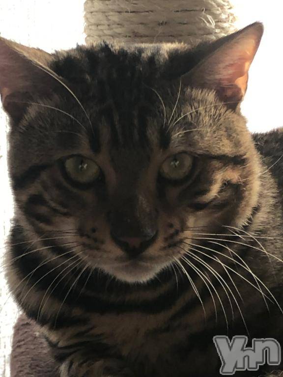 甲府デリヘル甲府人妻隊(コウフヒトヅマタイ)かなお(50)の2026年2月18日写メブログ「今日は…」