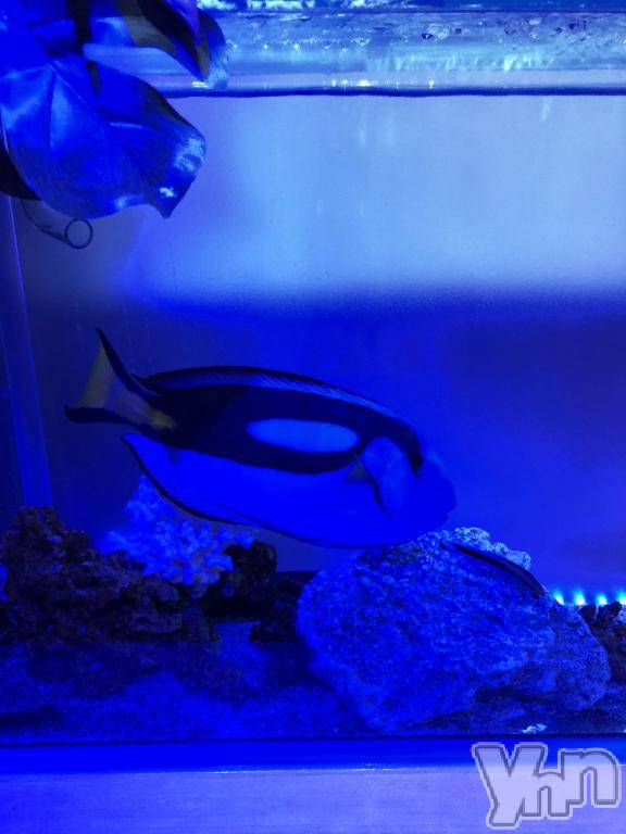 甲府デリヘル甲府人妻隊(コウフヒトヅマタイ)かなお(50)の2026年2月20日写メブログ「ありがとう🌸」