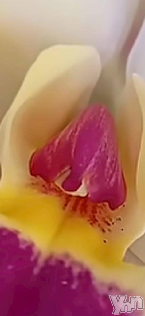 甲府デリヘル甲府人妻隊(コウフヒトヅマタイ)かなお(50)の2026年4月9日写メブログ「ごめんなさい🙏」