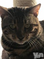 甲府デリヘル甲府人妻隊(コウフヒトヅマタイ) かなお(50)の2月18日写メブログ「今日は…」