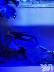 甲府デリヘル甲府人妻隊(コウフヒトヅマタイ) かなお(50)の2月20日写メブログ「ありがとう🌸」