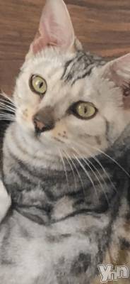 甲府デリヘル 甲府人妻隊(コウフヒトヅマタイ) かなお(50)の2月18日写メブログ「最近」