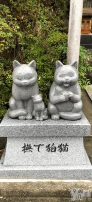 甲府デリヘル 甲府人妻隊(コウフヒトヅマタイ) かなお(50)の3月27日写メブログ「[お題]from:スマホもってっちゃうさん」