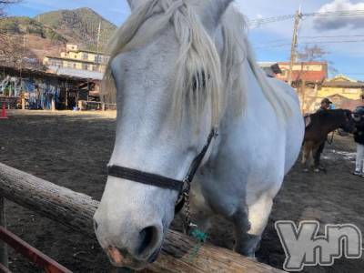 甲府デリヘル 甲府人妻隊(コウフヒトヅマタイ) かなお(50)の4月2日写メブログ「[お題]from:ぴぴさん」