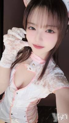 ���ܥ��ʥå��������륺�С�Girl's Bar All-in(�����륤��)(�����륺�С������륤��) ���(21)��11��19���̥�֥����֤ʡ�����24:00�ޤǡ���