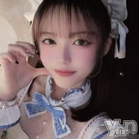 ���ܻԥ��ʥå��������륺�С� Girl's Bar All-in(�����륤��)(�����륺�С������륤��) ��ʤβ���(4����)