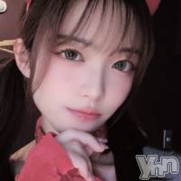 ���ܻԥ��ʥå��������륺�С� Girl's Bar All-in(�����륤��)(�����륺�С������륤��) ��ʤβ���(2����)