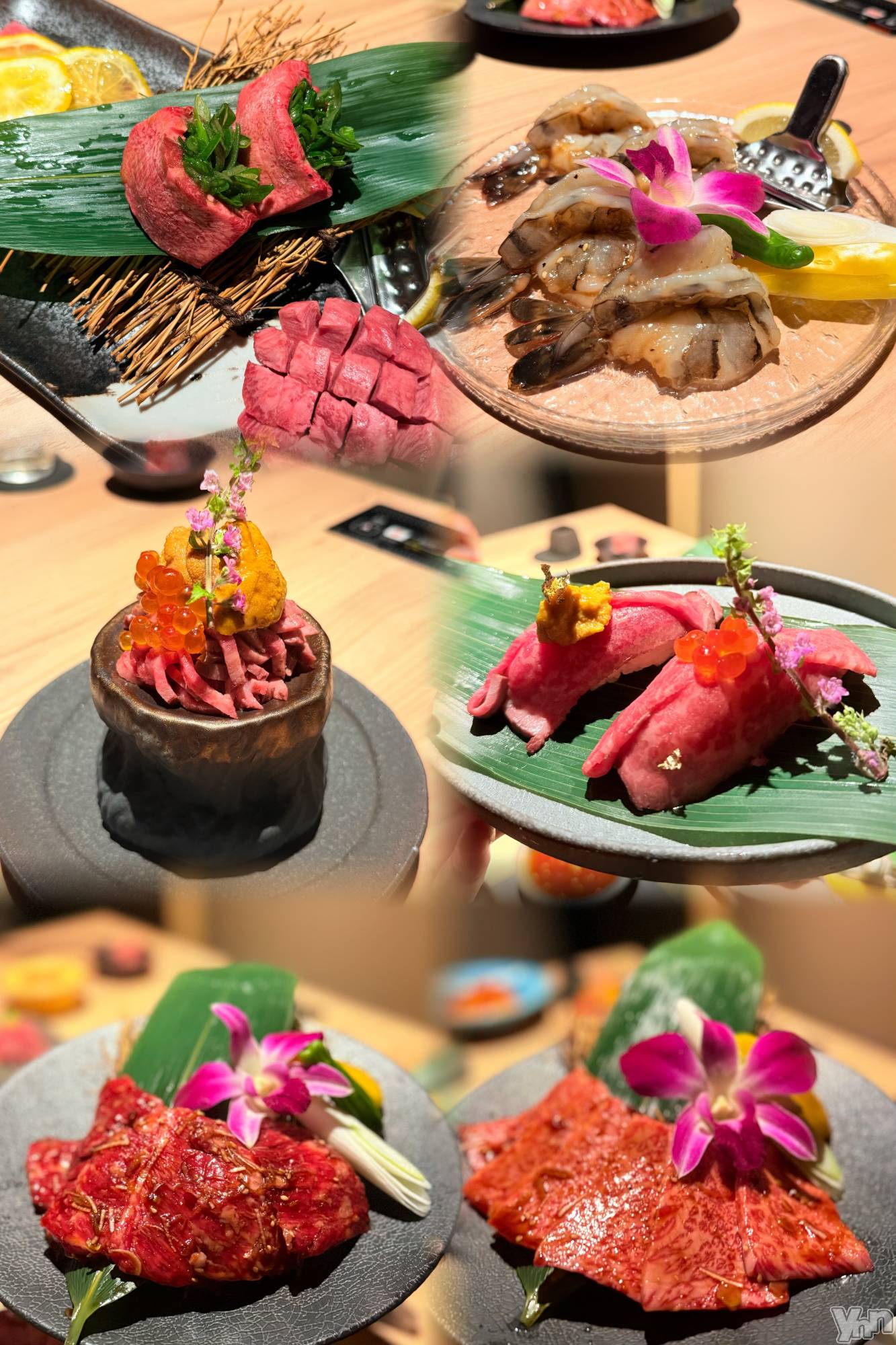 ���ܥ���Х��顦�����BRILLAR(�֥ꥸ�㡼��) ��2025ǯ12��5���̥�֥�����㈭��