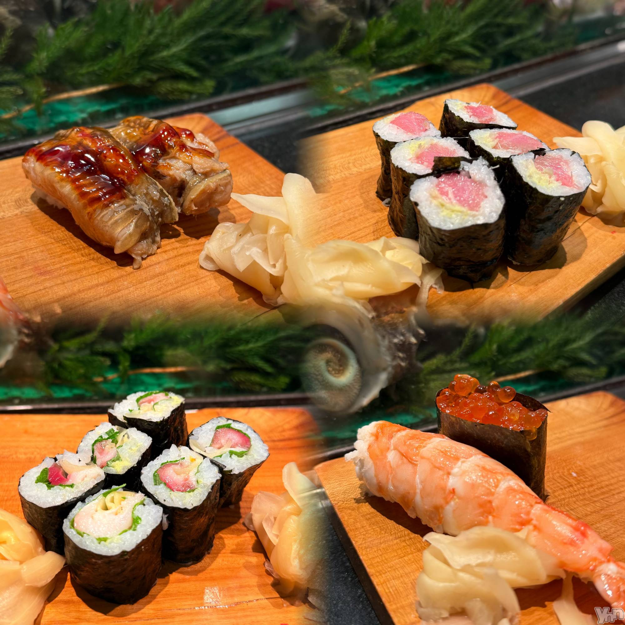 ���ܥ���Х��顦�����BRILLAR(�֥ꥸ�㡼��) ��2025ǯ12��12���̥�֥�����㈭��