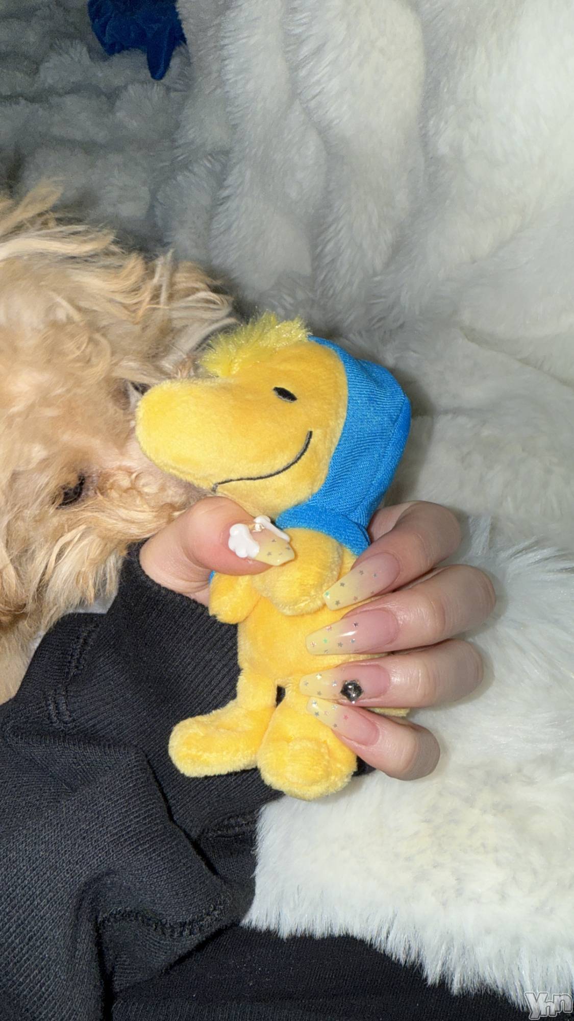 ���ܥ���Х��顦�����BRILLAR(�֥ꥸ�㡼��) ��2026ǯ4��2���̥�֥�����⭐💛🌛🌼⚡🍋🚕🎗️��