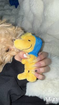 ���ܥ���Х��顦�����BRILLAR(�֥ꥸ�㡼��) �ߤ�(21)��4��2���̥�֥�����⭐💛🌛🌼⚡🍋🚕🎗️��