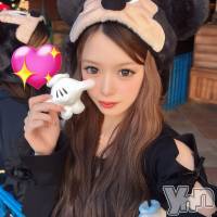 ���ܻԥ���Х��顦����� BRILLAR(�֥ꥸ�㡼��) �ߤ��β���(2����)